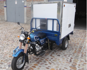 Motocarro Industrial